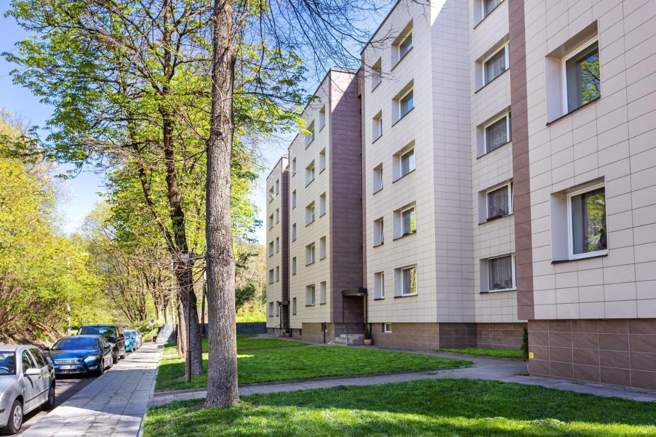 Luxury For Everyone - Hills Park Lux Apartments 1 VNO Dış mekan fotoğraf
